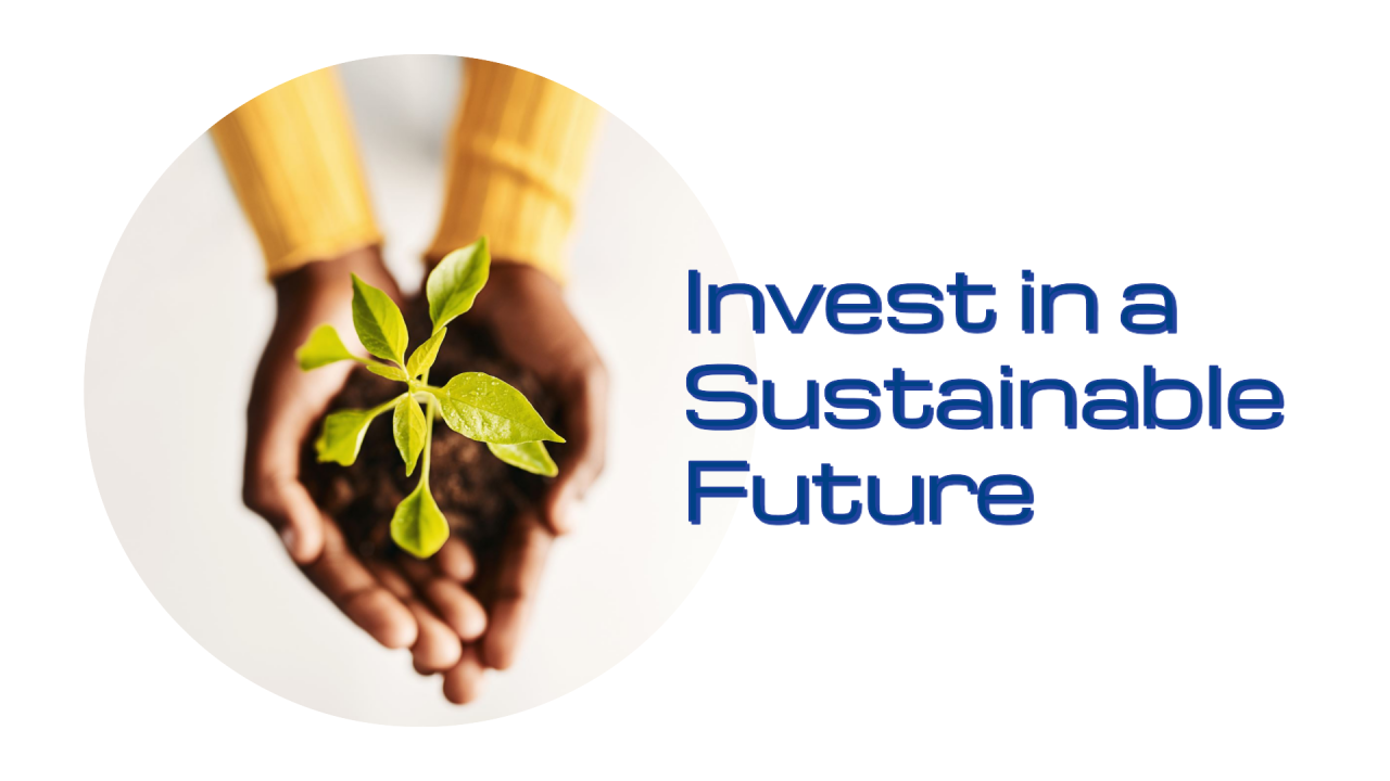 Comprehensive Guide to Sustainable Investing and Best Investment Strategies